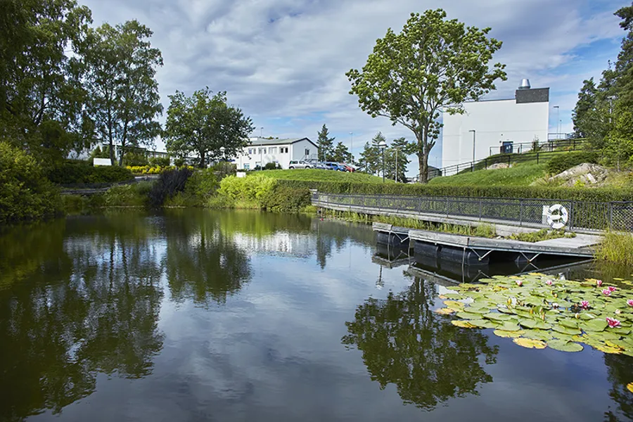 Dammen_foto Bård Gudim Sunnaas sykehus HF.jpg